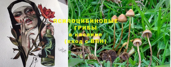 стаф Бугульма