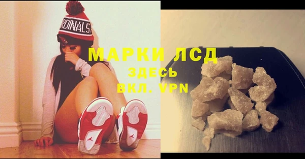 эйфоретик Бородино