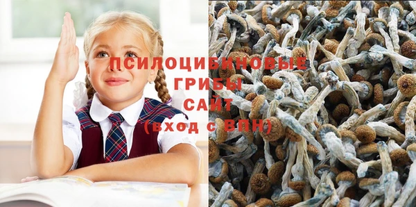 герыч Верхний Тагил