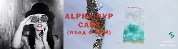 эйфоретик Бородино