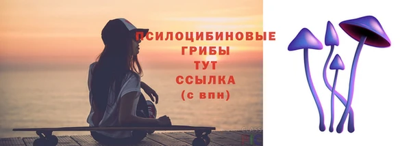 стаф Бугульма