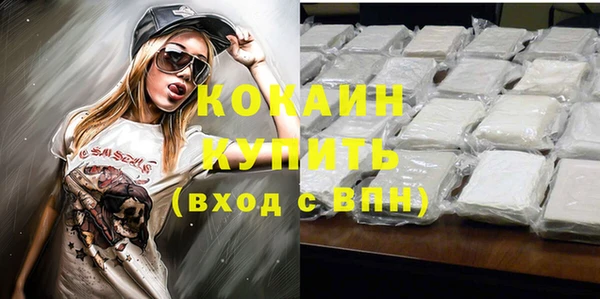эйфоретик Бородино