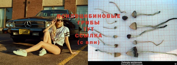 стаф Бугульма