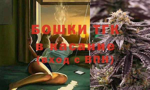 эйфоретик Бородино