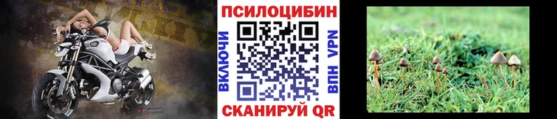 Псилоцибиновые грибы GOLDEN TEACHER  даркнет сайт  Семёнов 